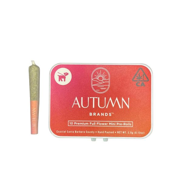 Autumn Brands - Mini Prerolls - Gas Junky -10pk (H) - Image 2