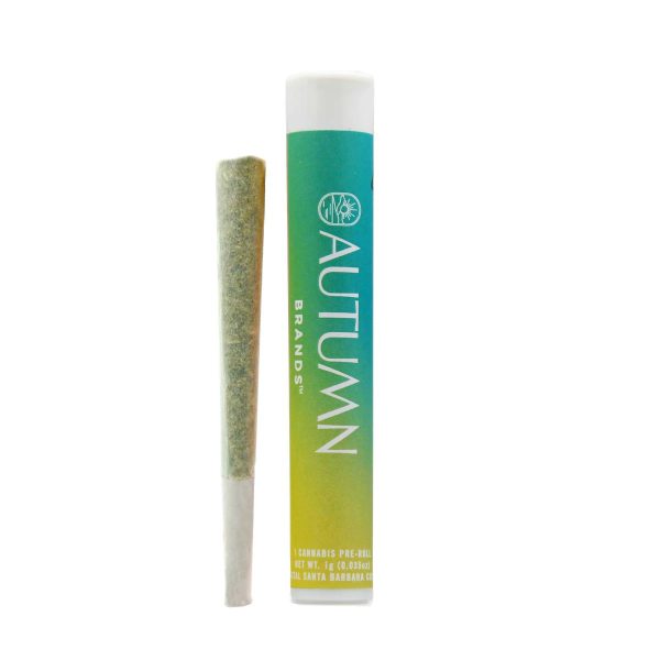 Autumn Brands - Preroll - Jet Fuel Gelato - (H) 1G