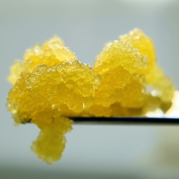 22K - Sugar - Live Resin - Watermelon Dreamz - (H) 1G