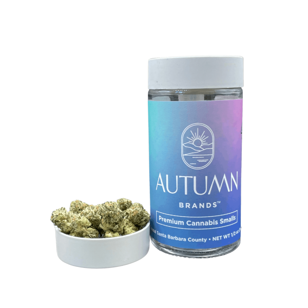 Autumn Brands - Purple Carbonite - (I) 14g