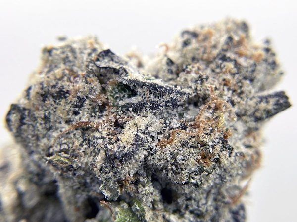 BLACK PEARL - Diamond Coated Indoor - Lemon Cherry Gelato - (I) 3.5g - Image 2