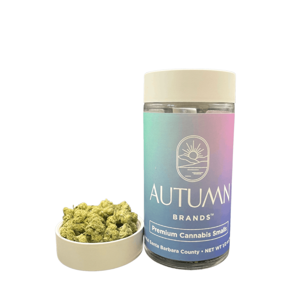 Autumn Brands - Purple Push Pop - ((I) 14g