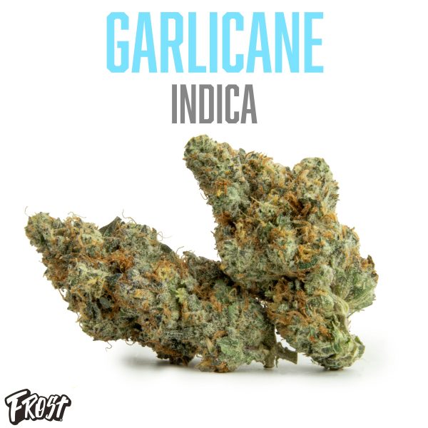 Frost - Garlicane - (I) 1g
