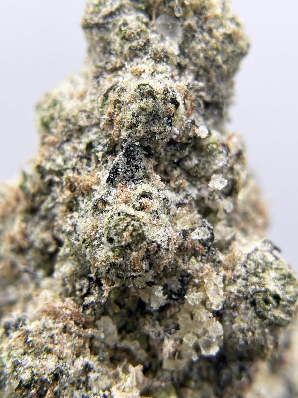 BLACK PEARL - Marshmallow OG - (I) 3.5g