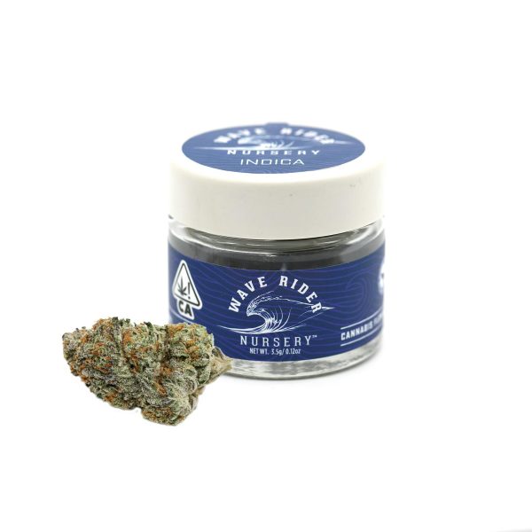 Wave Rider - Blueberry Pancakes (I) 3.5g - Image 2