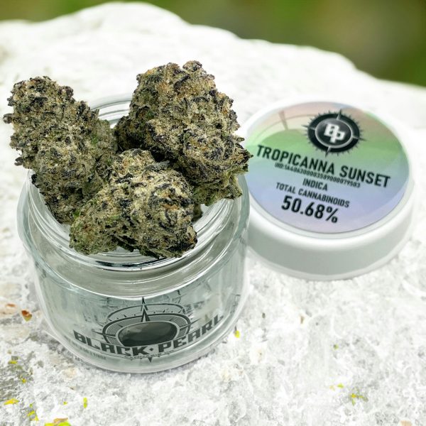 BLACK PEARL - Tropicanna Sunset - (S) 3.5g