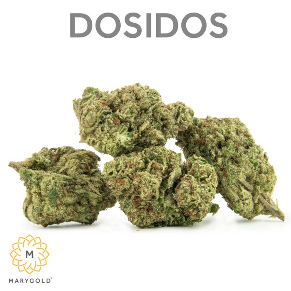 Marygold - Flower - Dosidos - (I) 3.5g