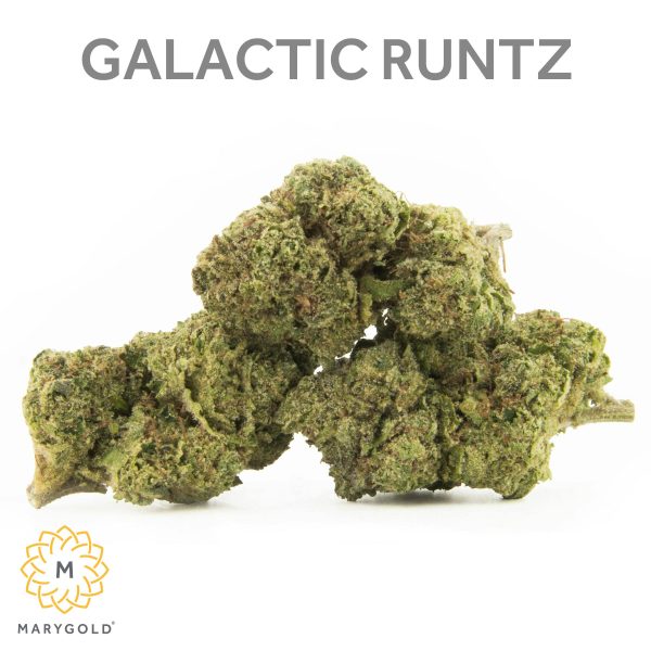 Marygold - Flower - Tropical Runtz - (I) 3.5g
