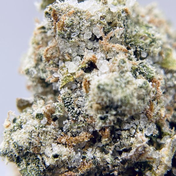 BLACK PEARL - Golden Haze - (S) 3.5G