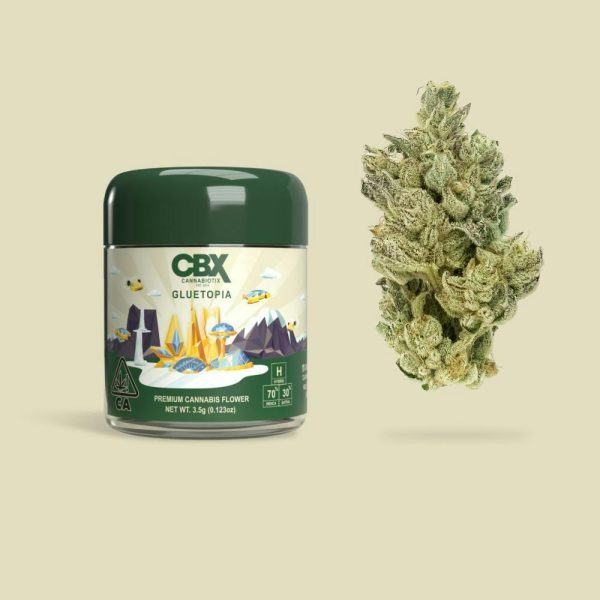 CBX - Gluetopia - (H) 3.5g