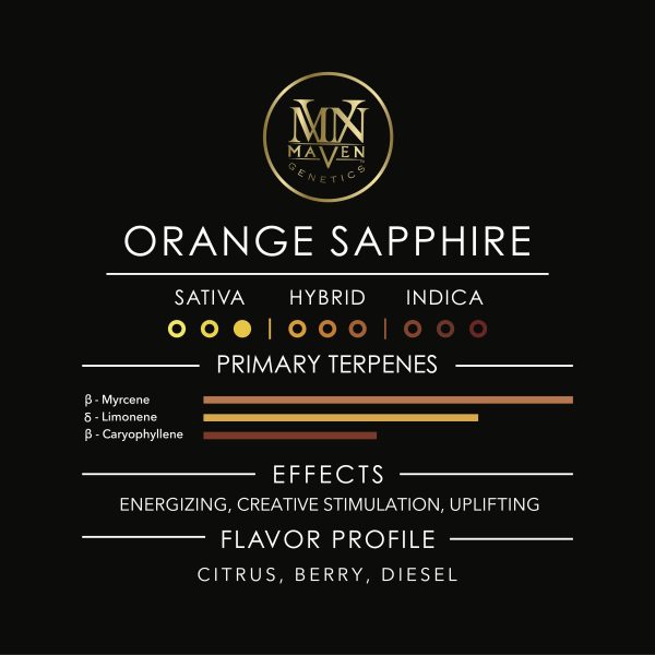 Maven - Orange Sapphire - Pre-Roll (S) 2.5g - Image 2