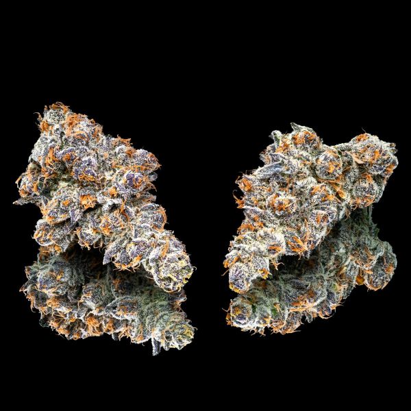 Maven - Orange Sapphire - Preroll - (S) 1.0g - Image 3