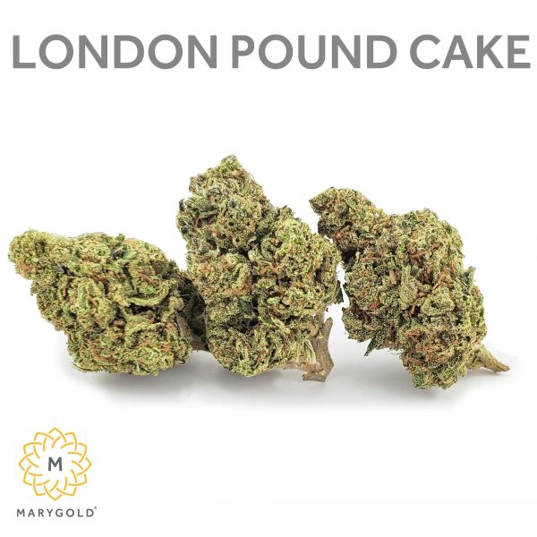 Marygold - Lava Cake - (I) 3.5g