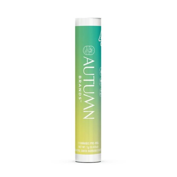 Autumn Brands - Preroll - Volume Up - (S) 1g
