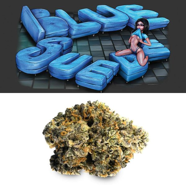 Cookies - Blue Suede - (I) 3.5g
