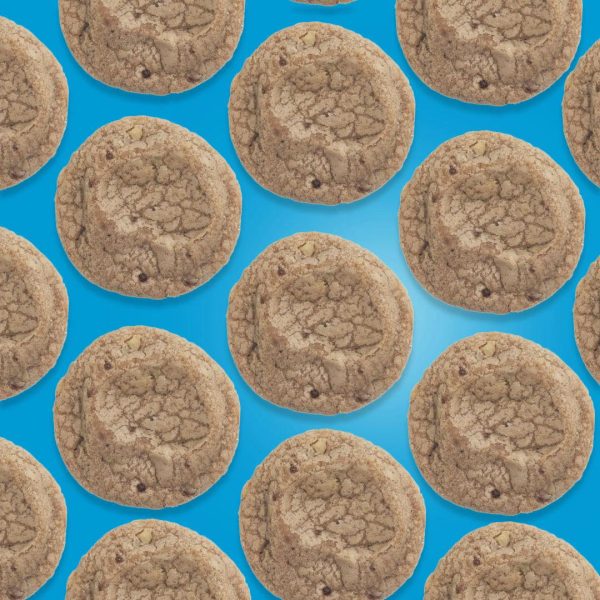 DR. NORM - Chocolate Chip 100mg MAX Cookie (H) 100mg - Image 2