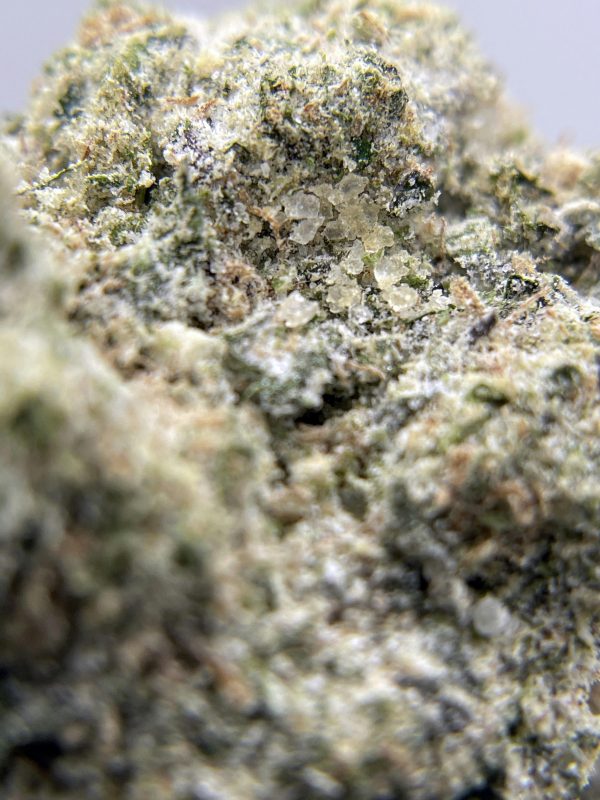 BLACK PEARL - Diamond Coated - Diablo OG - (I) 3.5G - Image 3