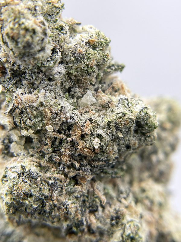 BLACK PEARL - Diamond Coated - Diablo OG - (I) 3.5G - Image 2