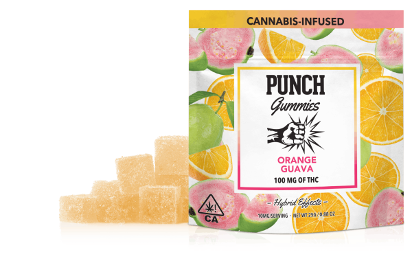 Punch - Gummies - Orange Guava - (H) 100mg